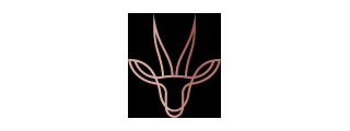IDMI